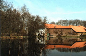 Blick auf die Mühle vom Weiher aus